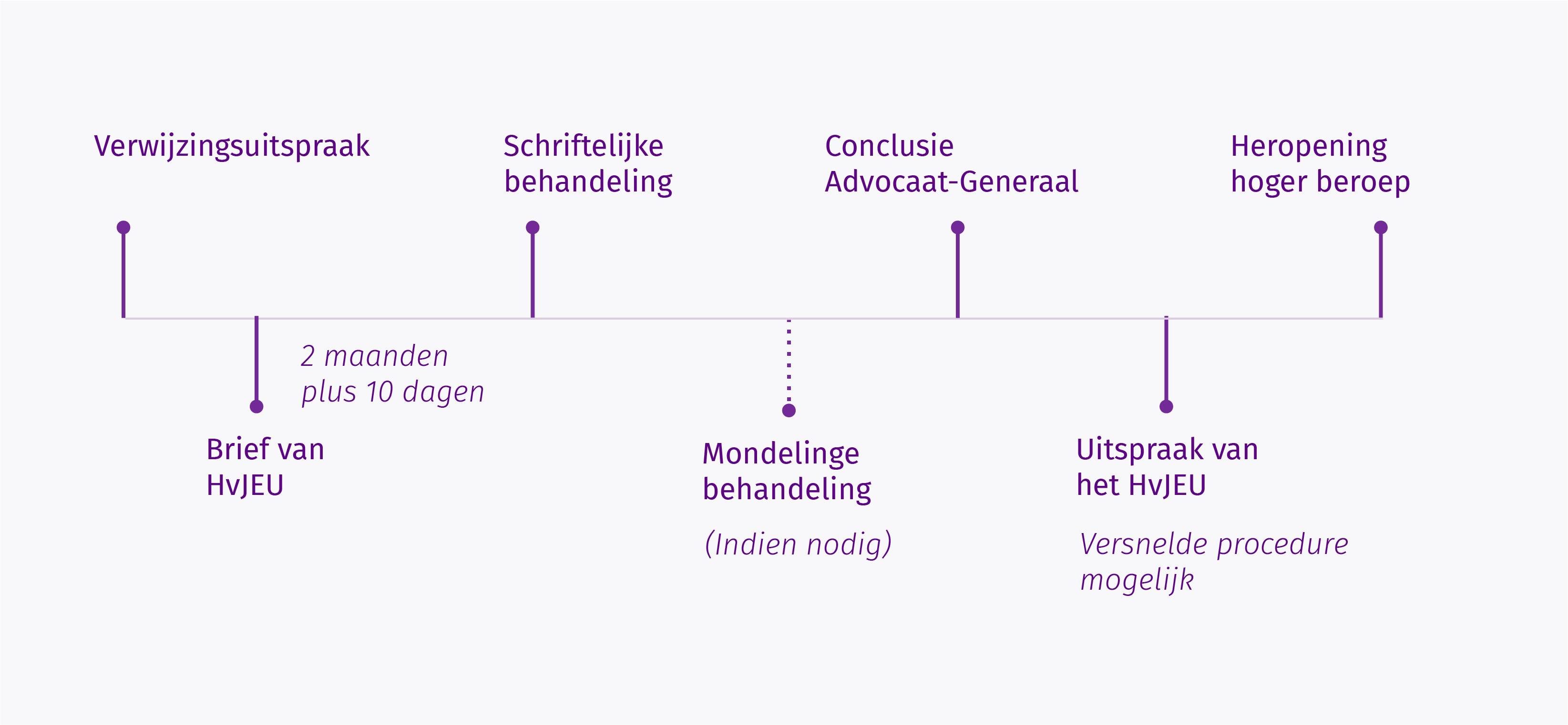 Illustratief verloop van de procedure bij het HvJEU